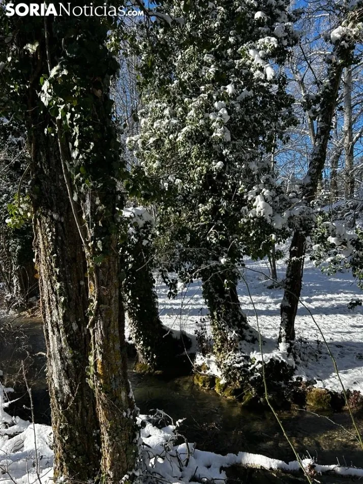 El entorno de la Toba