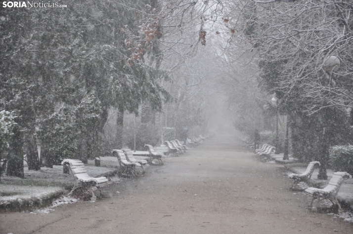 Galer&iacute;a: La nieve convierte La Dehesa en una postal invernal