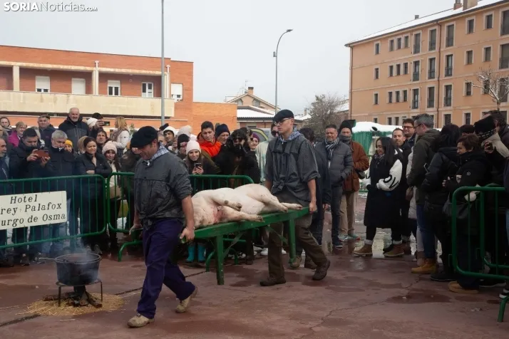 Matanzas del Virrey en El Burgo 2024