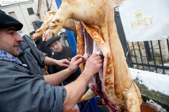 Matanzas del Virrey en El Burgo 2024