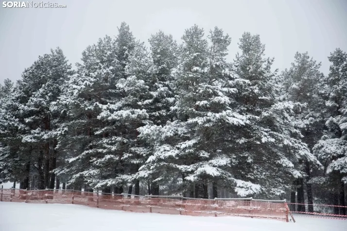 Nieve en Soria