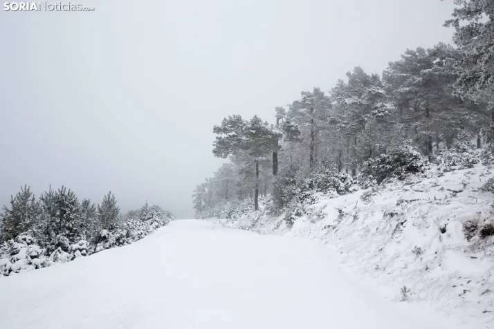 Nieve en Soria