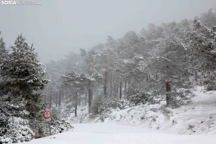 Nieve en Soria