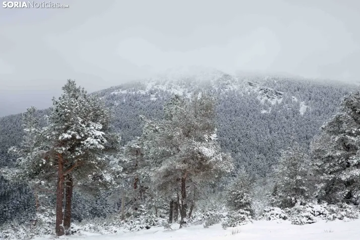 Nieve en Soria
