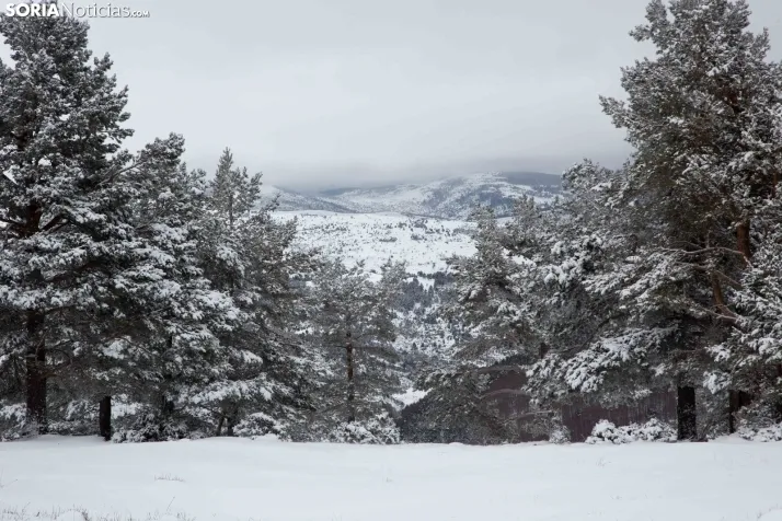Nieve en Soria
