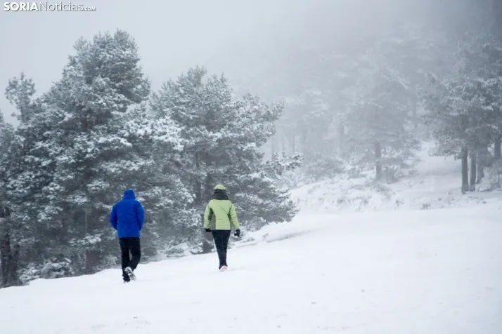 Nieve en Soria