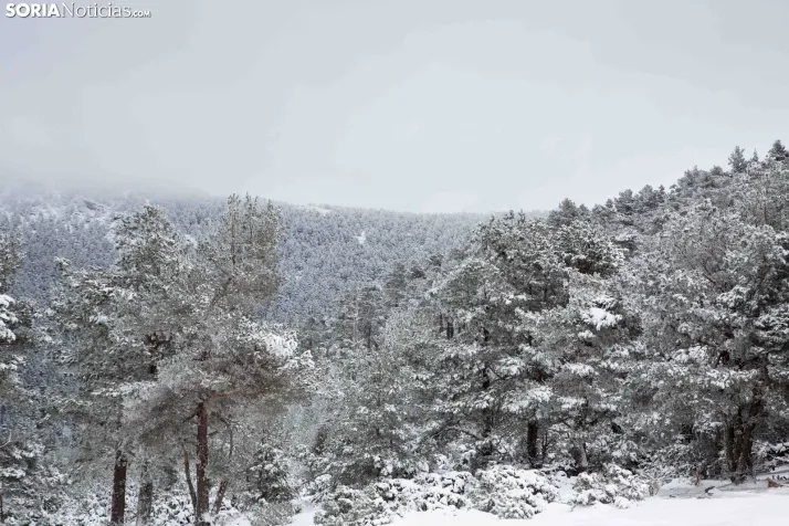 Nieve en Soria