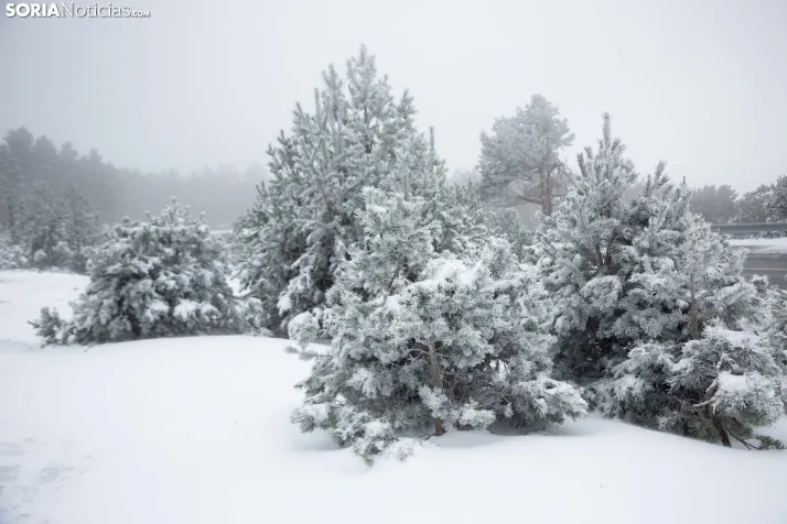 Nieve en Soria