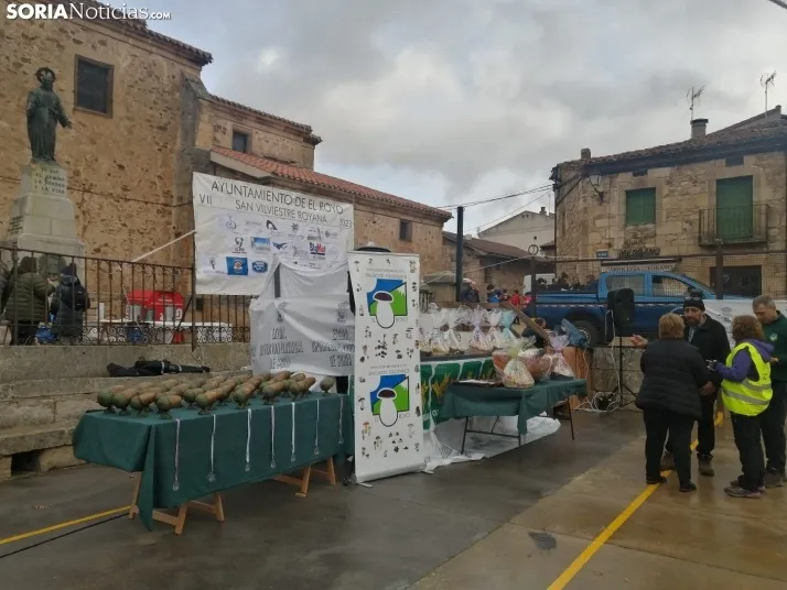 San Silvestre en El Royo.