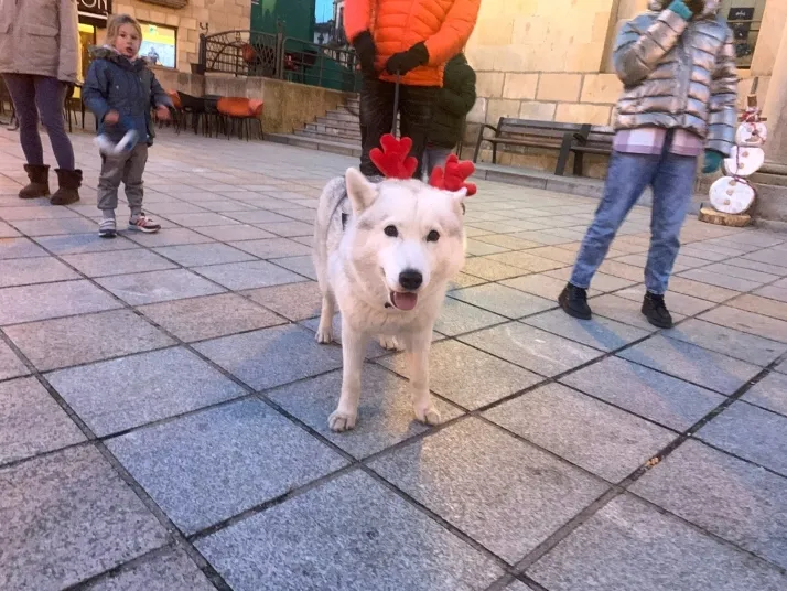 San Silvestre de Covaleda.