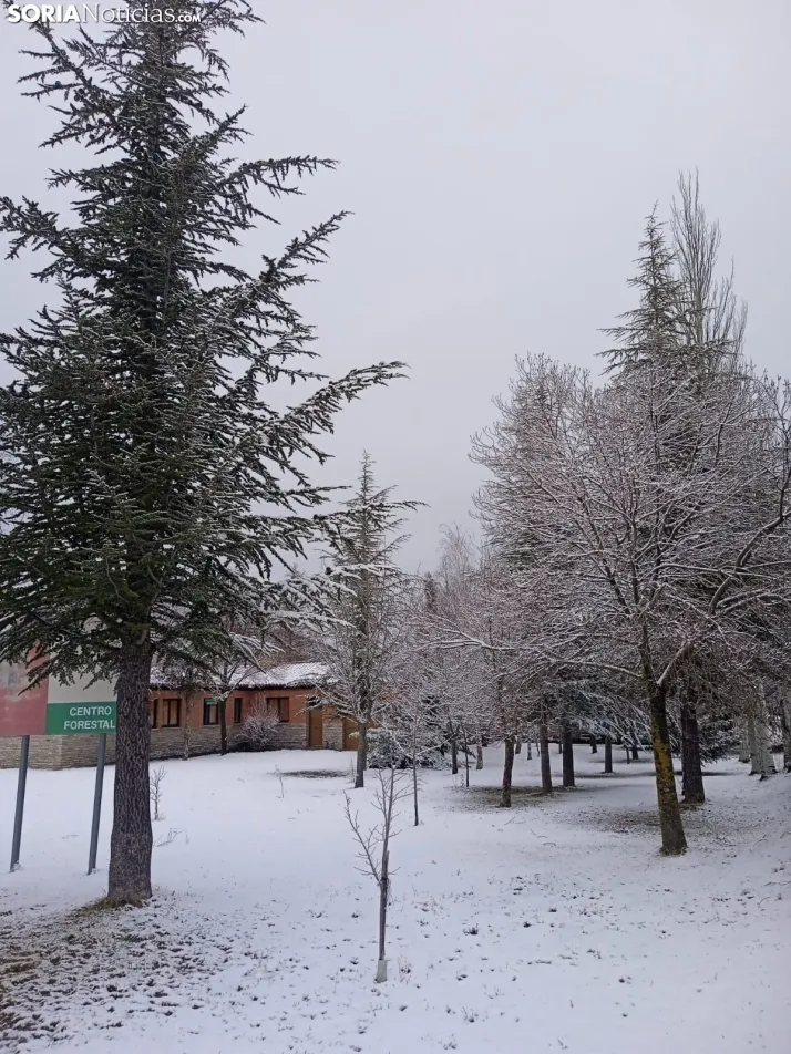 San Pedro Manrique con nieve/ Guillermo Sierra Iglesias.
