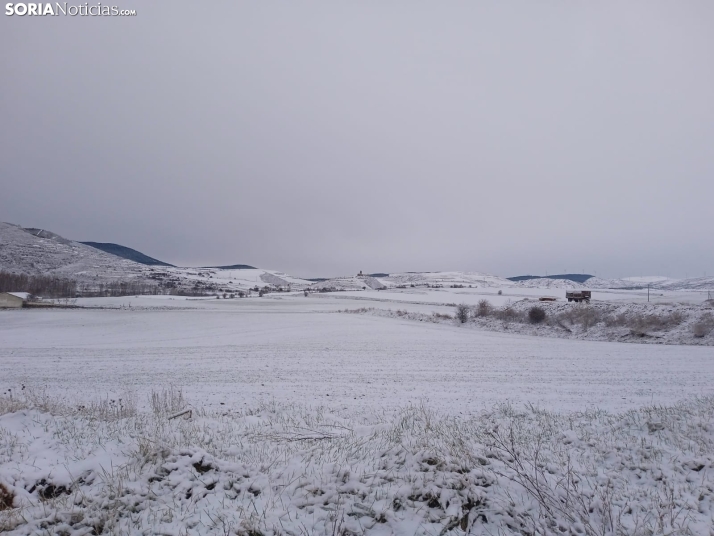 Fotos: San Pedro Manrique se despierta con un manto blanco de nieve