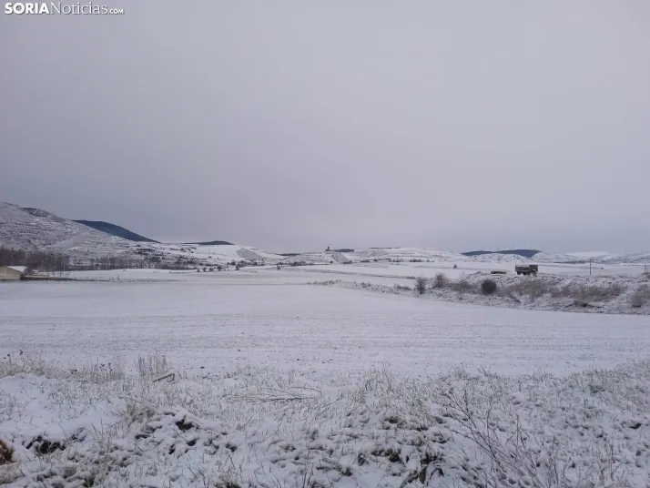 Fotos: San Pedro Manrique se despierta con un manto blanco de nieve