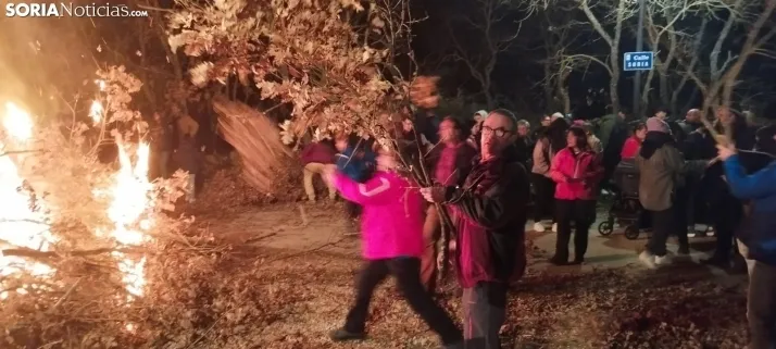 Fotos: Pedrajas celebra su luminaria con m&uacute;sica, vino y mucha carne a la brasa