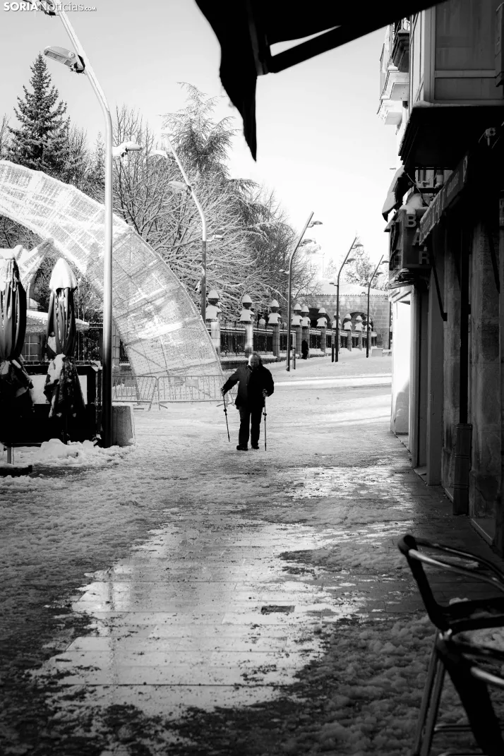 Nevada 2024. Viksar Fotografía