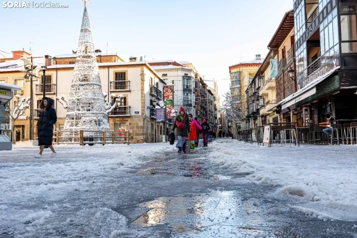 Nevada 2024. Viksar Fotografía