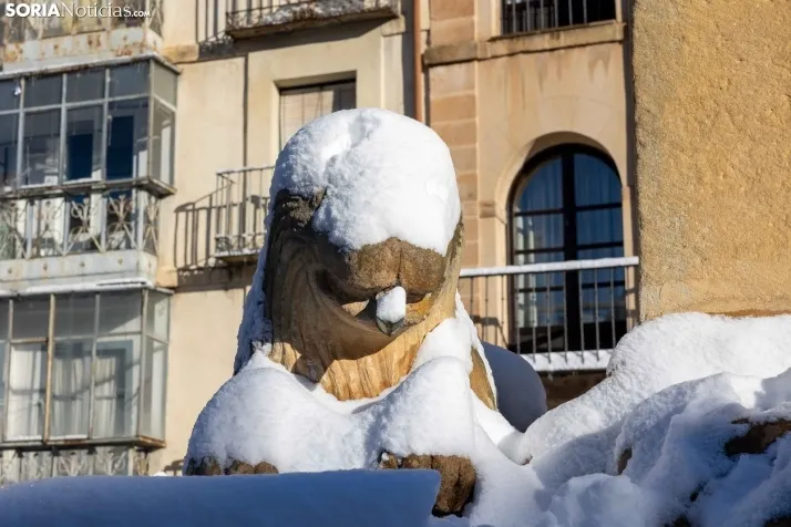 Nieve 2024. Viksar Fotografía