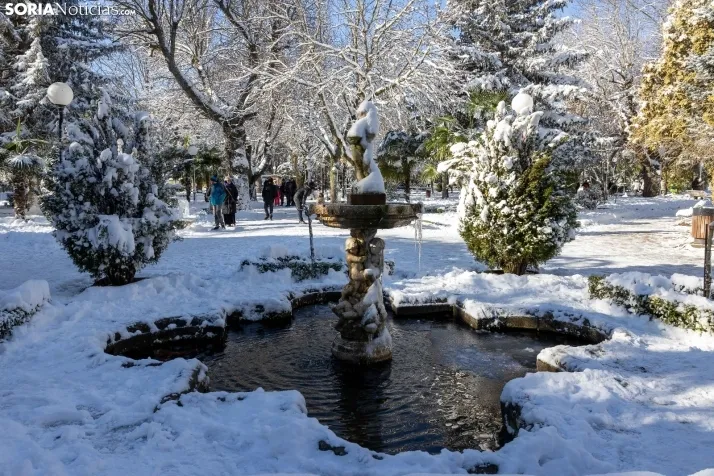 Nieve 2024. Viksar Fotografía