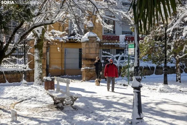 Nieve 2024. Viksar Fotografía