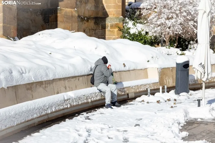 Nieve 2024. Viksar Fotografía