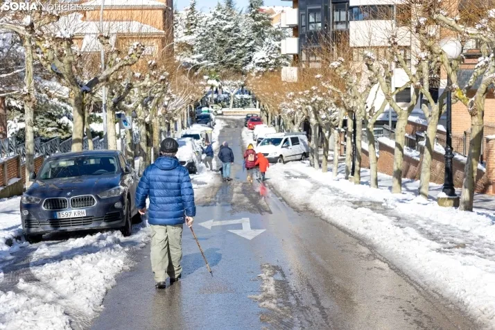 Nieve 2024. Viksar Fotografía
