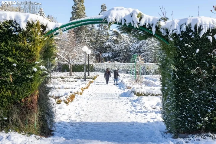 Nieve 2024. Viksar Fotografía