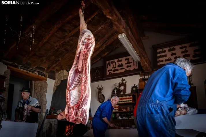 Foto a foto | Este pueblo de Soria pasa de 1 a 150 vecinos gracias al cerdo