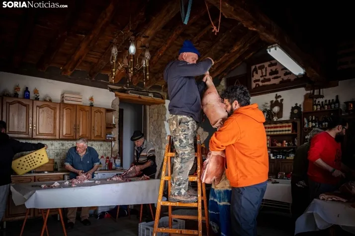 Foto a foto | Este pueblo de Soria pasa de 1 a 150 vecinos gracias al cerdo