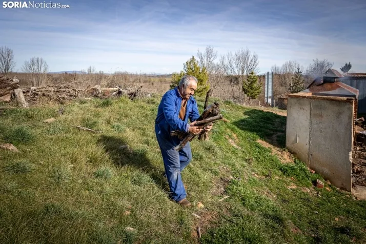 Foto a foto | Este pueblo de Soria pasa de 1 a 150 vecinos gracias al cerdo