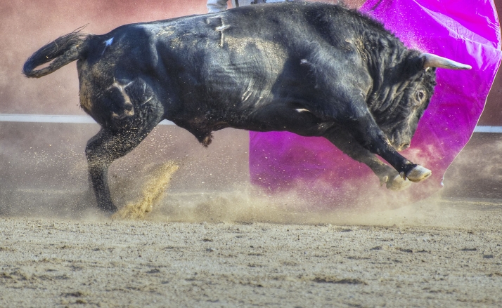 El 27 de enero, la gala de premios taurinos del Hotel La Barrosa