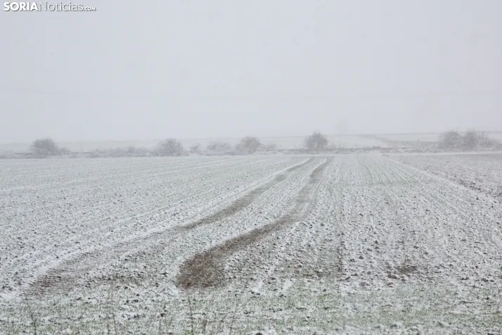 Nevada enero 2024