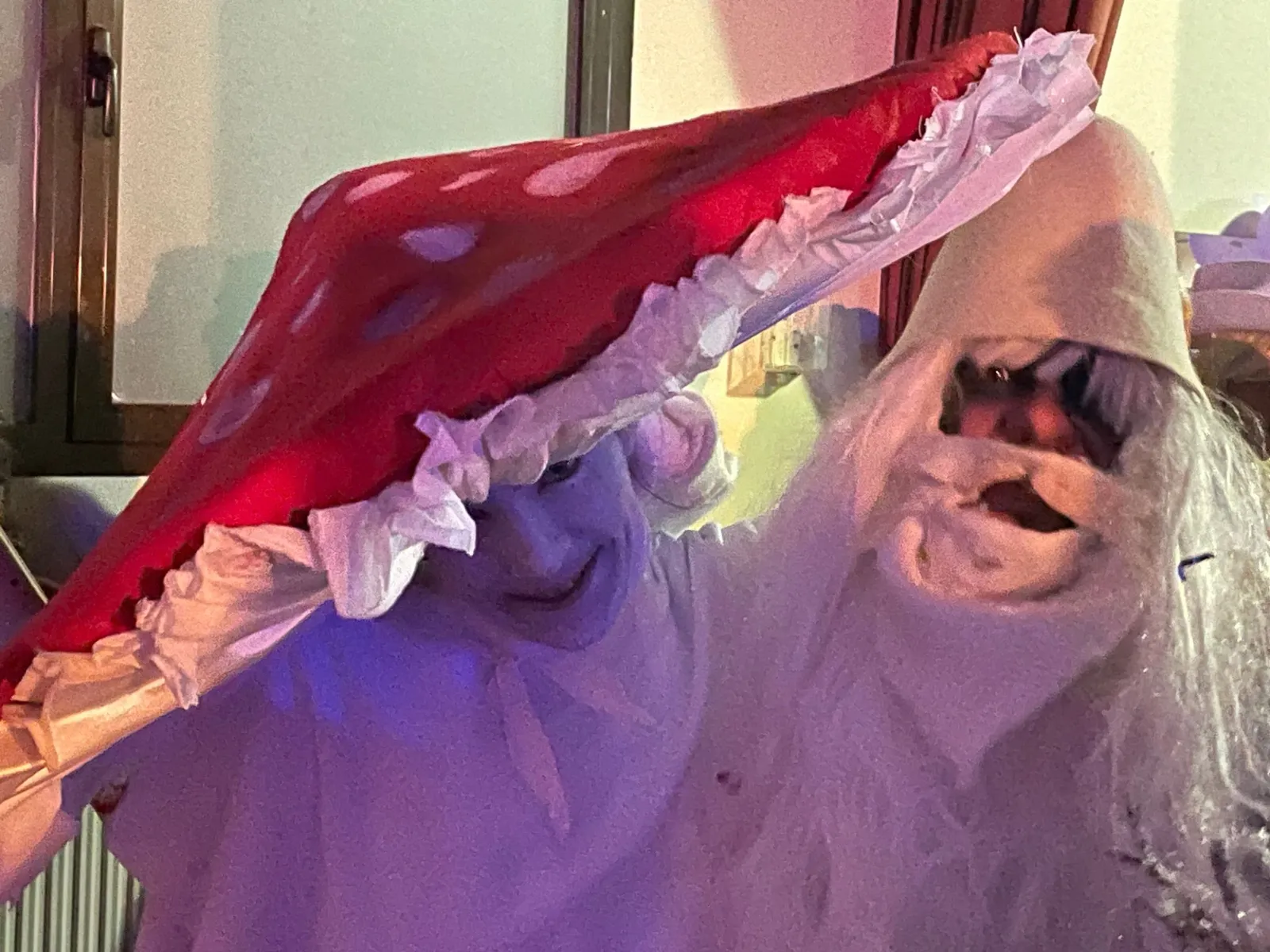 Foto 9 - Fotos: Berlanga de Duero celebra su Carnaval