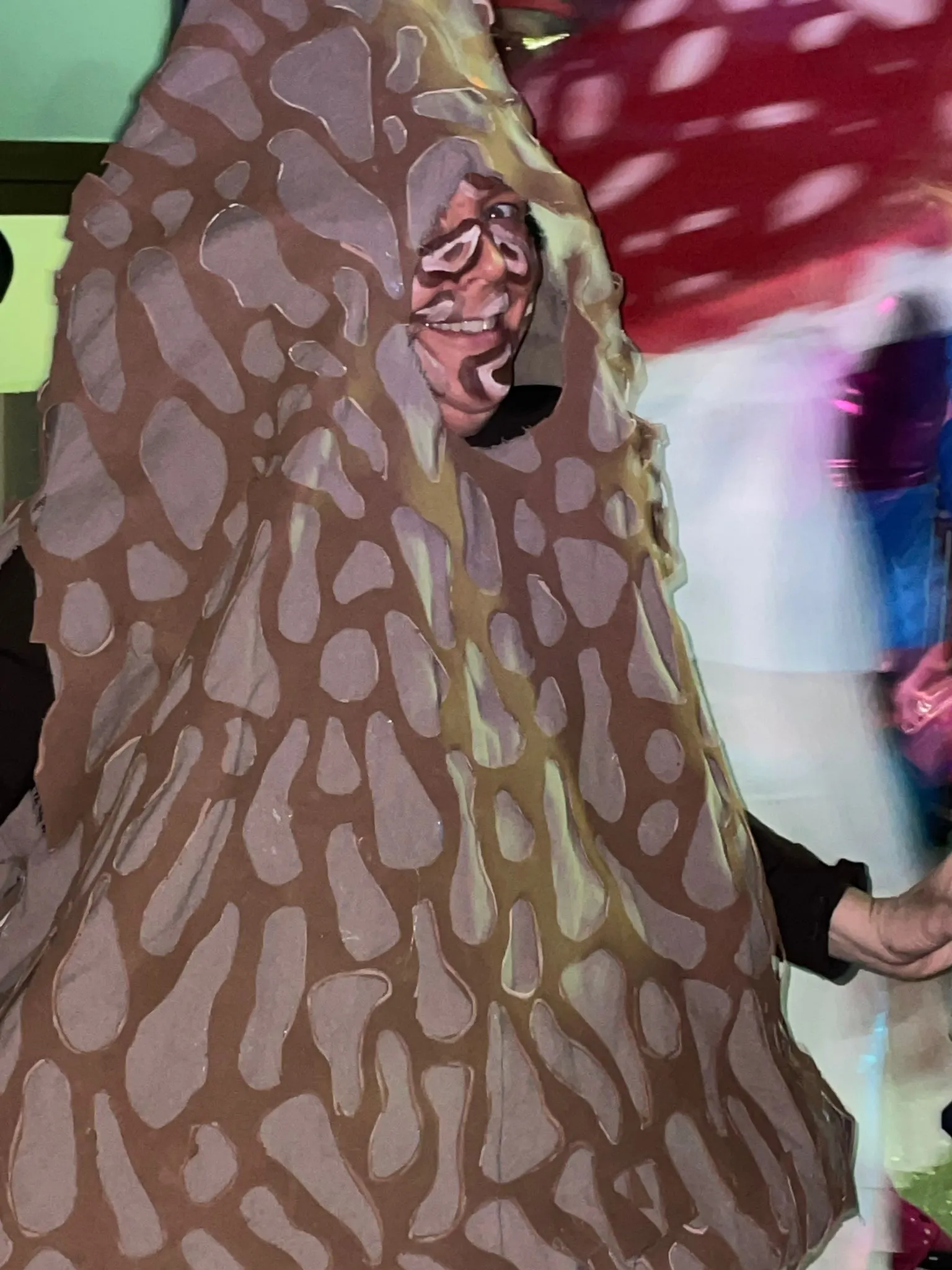 Foto 8 - Fotos: Berlanga de Duero celebra su Carnaval