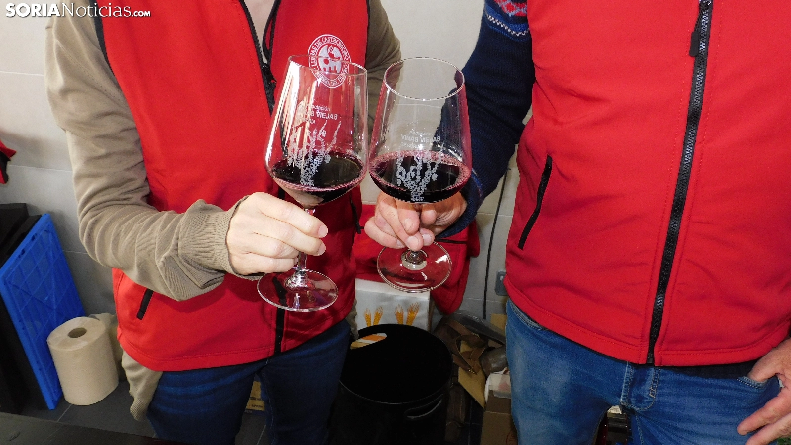 Regresa el IV Encuentro de Viñas Viejas a Soria capital: horarios, precios, novedades y bodegas presentes