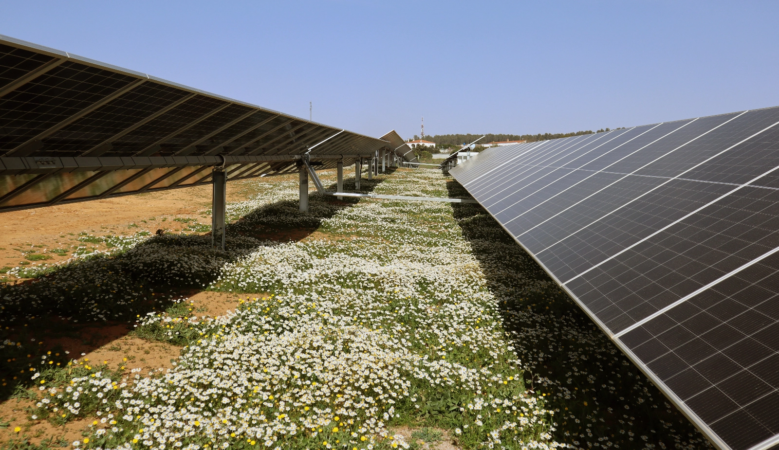 Solarig suma apoyos: Banca March se implica en los proyectos de la compañía nacida en Soria