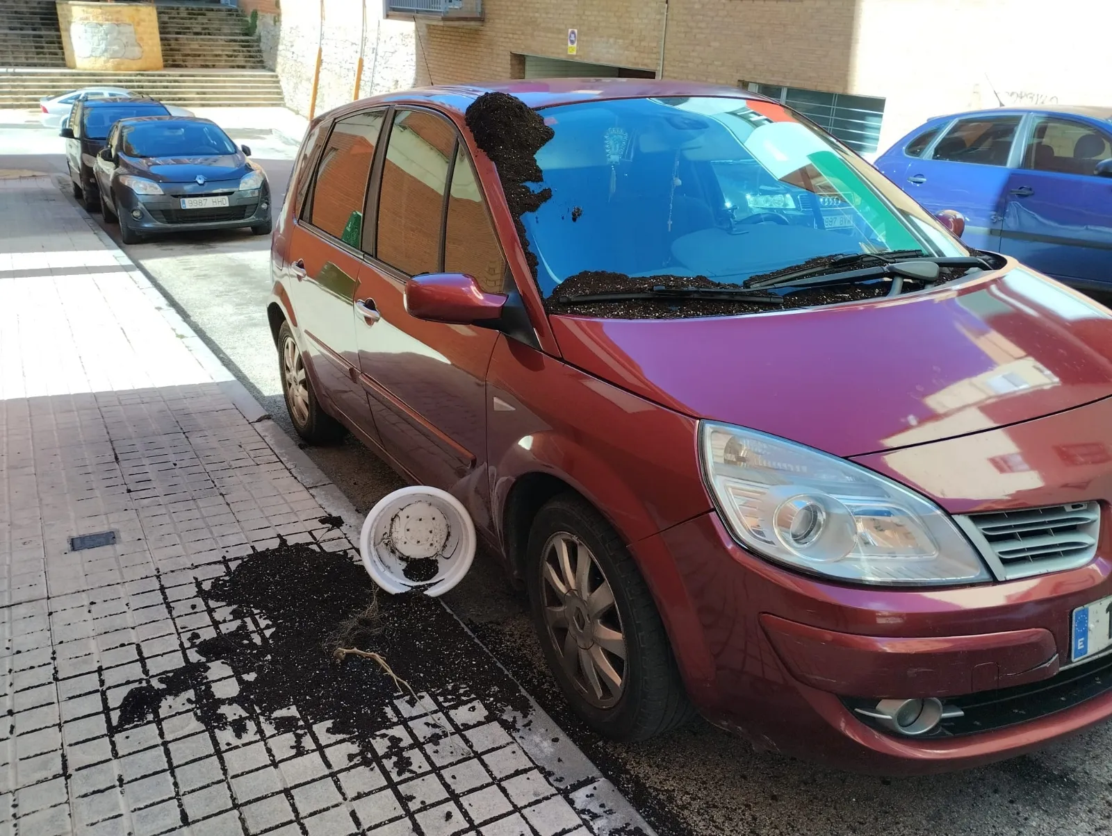 Foto 2 - Fotos: El viento causa estragos en Soria