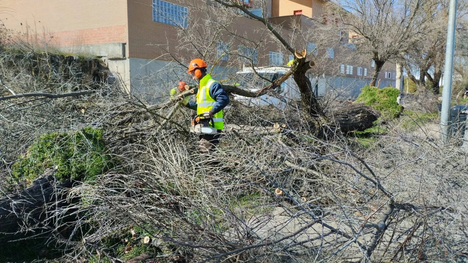 Foto 11 - Fotos: El viento causa estragos en Soria