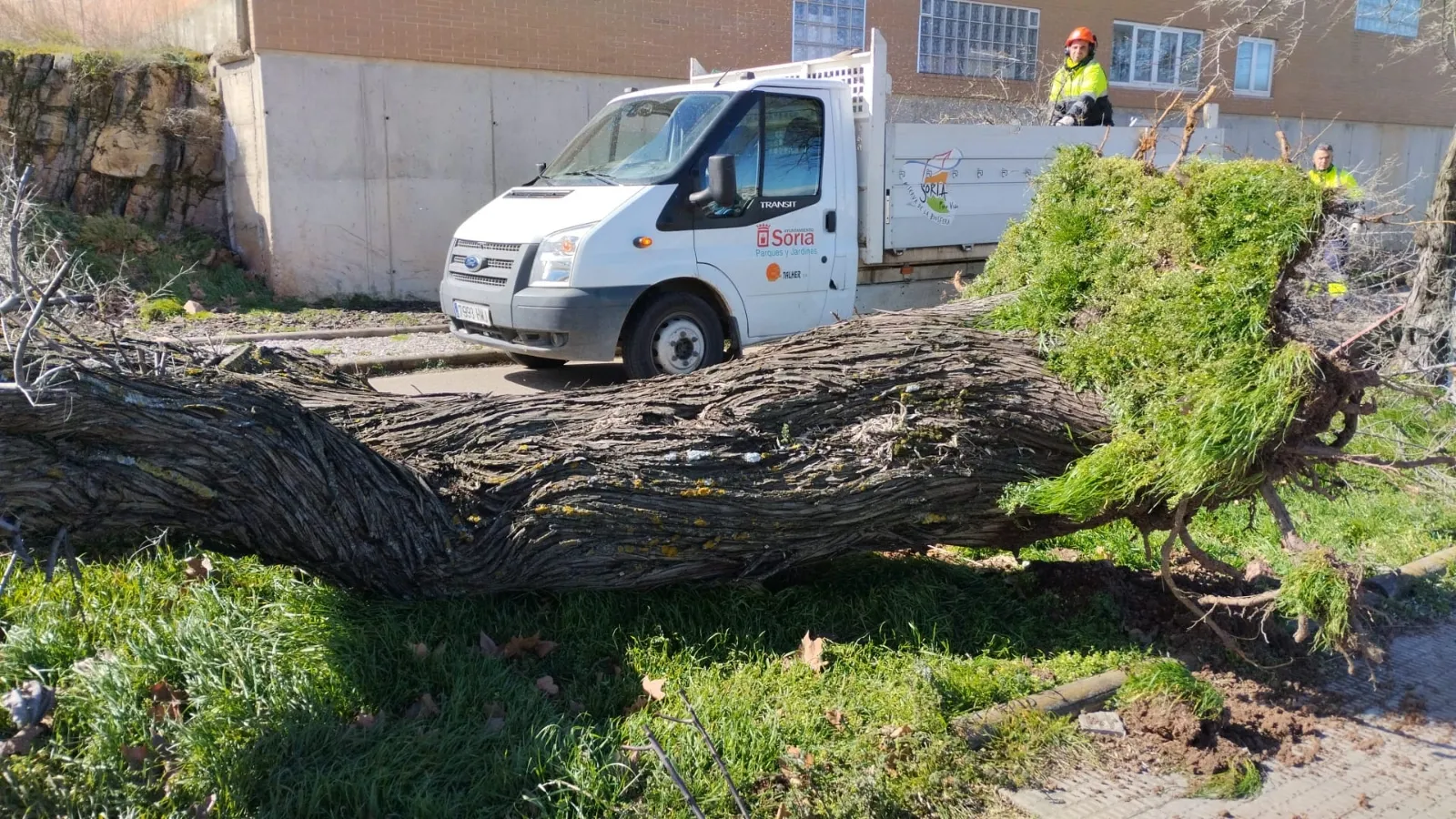 Foto 9 - Fotos: El viento causa estragos en Soria