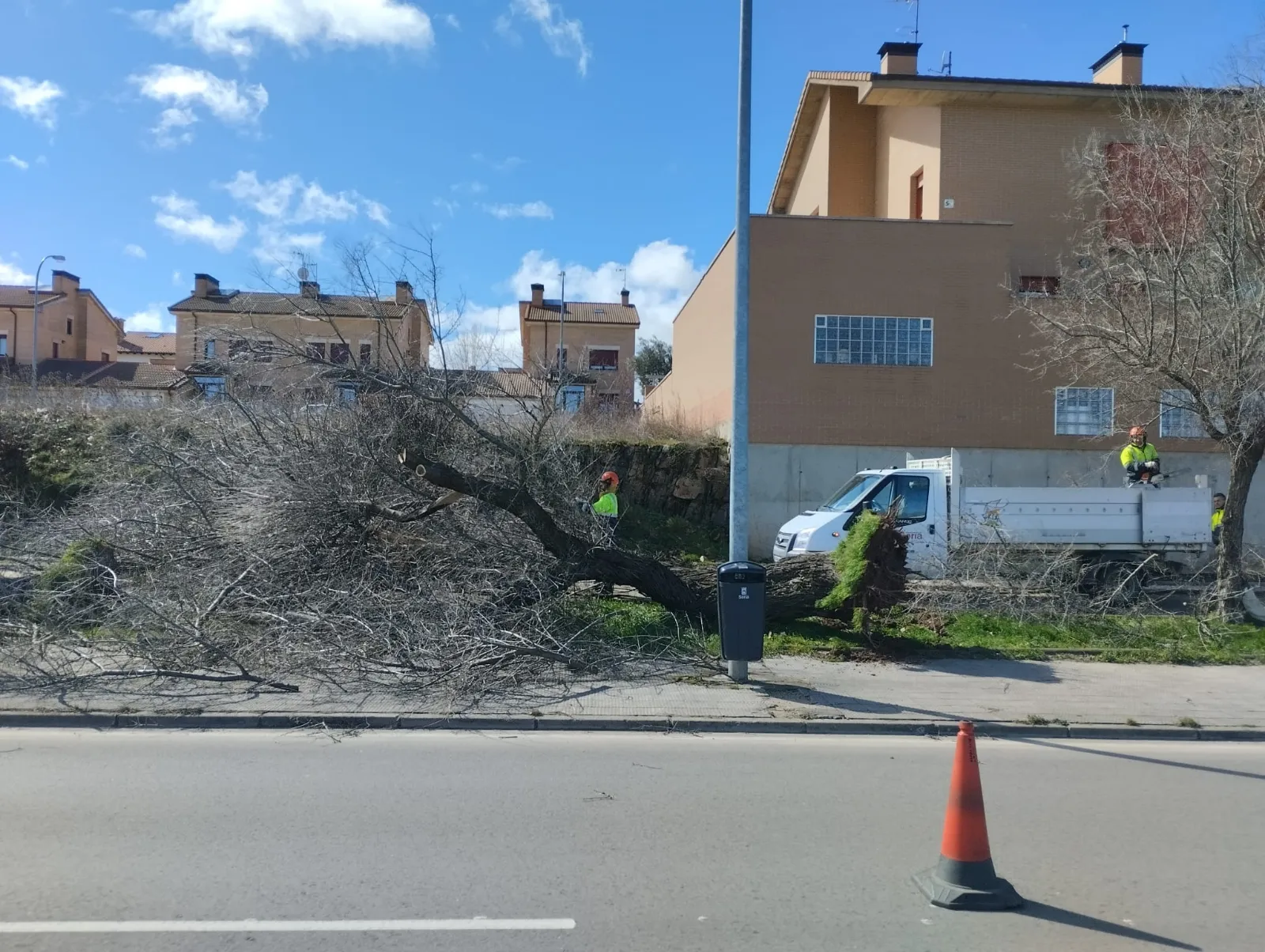 Foto 7 - Fotos: El viento causa estragos en Soria