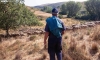 Un pastor trashumante soriano en Tierras Altas con su rebaño de merinas. /SN