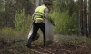 Un operario en labores de reforestación. 