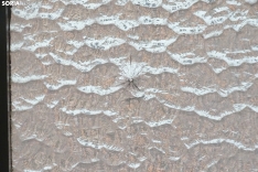 Detalle de los impactos en una de las ventanas. /PC