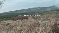 Foto 4 - Cortes de tr&aacute;fico en &Aacute;greda y Almaz&aacute;n por el conflicto agrario