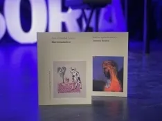 Una imagen de la entrega de los galardones. /Dip.