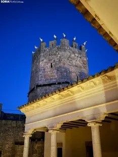 Las cigüeñas paran en Monteagudo. /Carlos González