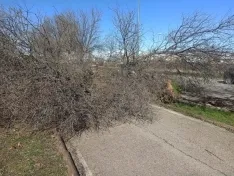 Foto 3 - Fotos: El viento causa estragos en Soria