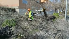 Foto 11 - Fotos: El viento causa estragos en Soria