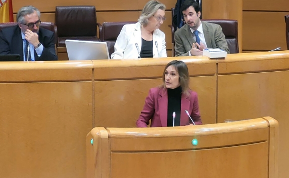 La Junta destaca en el Senado el éxito de la implantación del primer ciclo de la Educación Infantil de forma gratuita y universal en Castilla y León