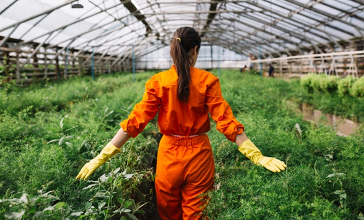 Castilla y León en Expo SAGRIS 2025: claves del futuro agrario