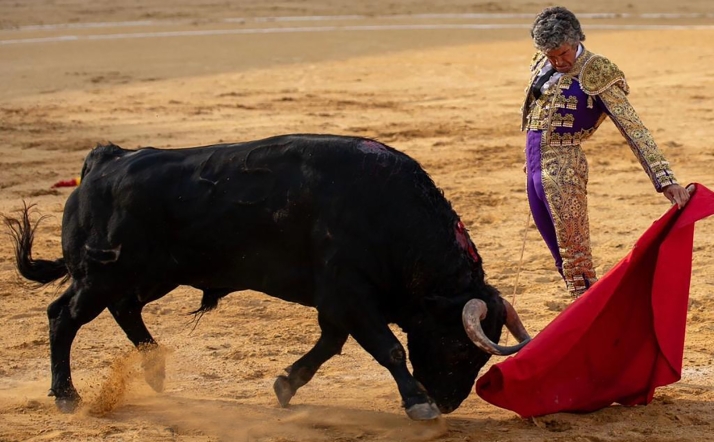 El matador soriano Rubén Sanz toreará el 6 de abril en Torres de la Alameda (Madrid) dentro de la Copa Chenel